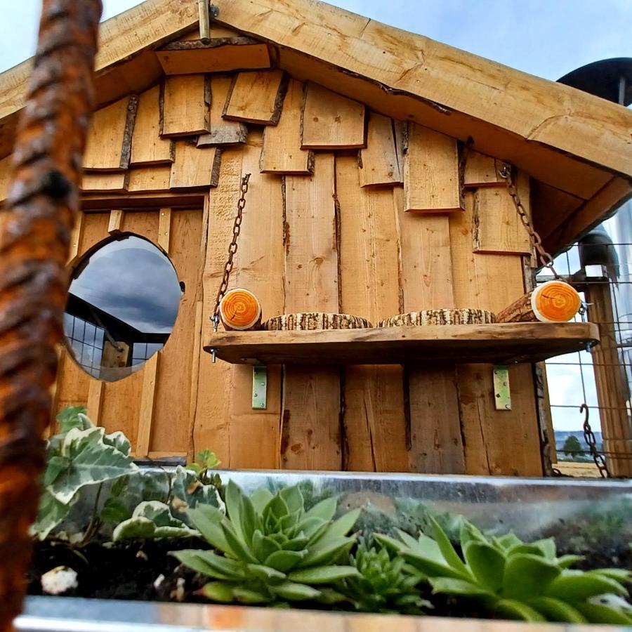 La Cabane Du Coing Visé Exteriör bild