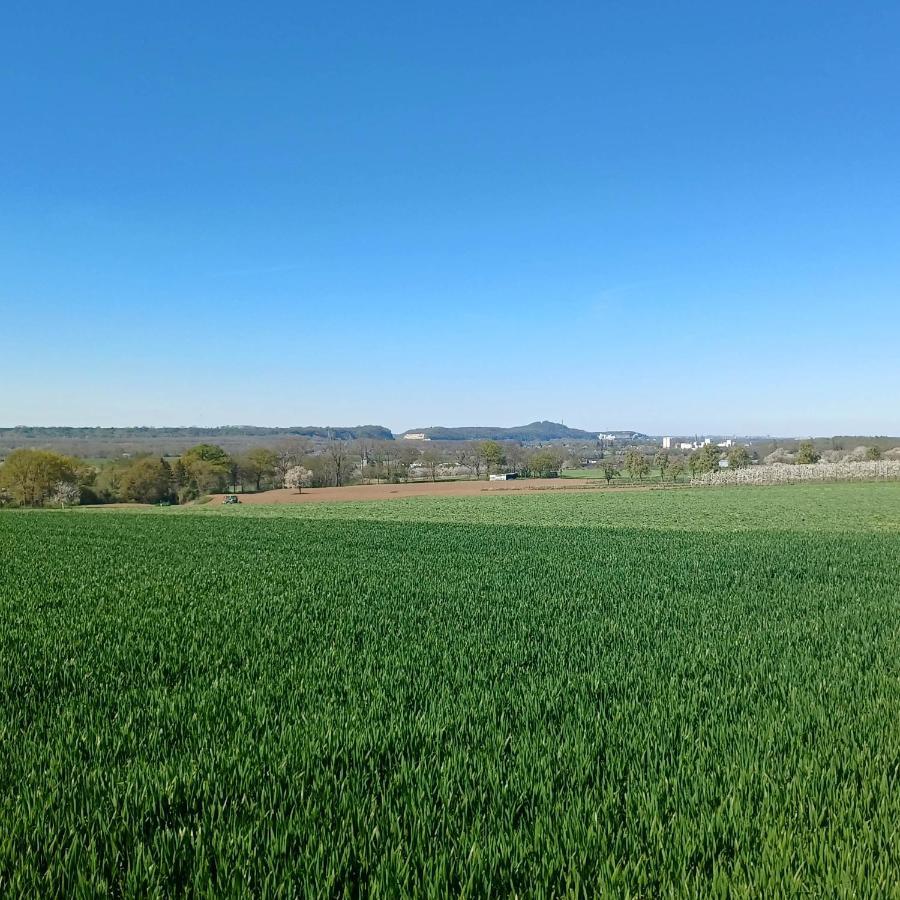 La Cabane Du Coing Visé Exteriör bild